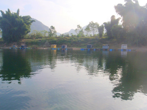 House boats.